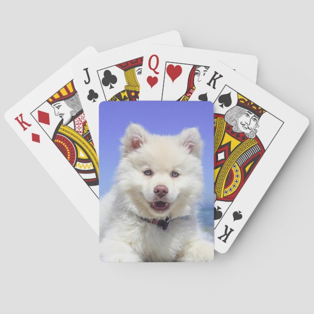 Jeu De Cartes Cartes de jeu photo personnalisées pour animaux de (dos)
