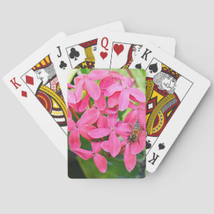 Jeu De Cartes Cartes De Jeu Plante Ixora