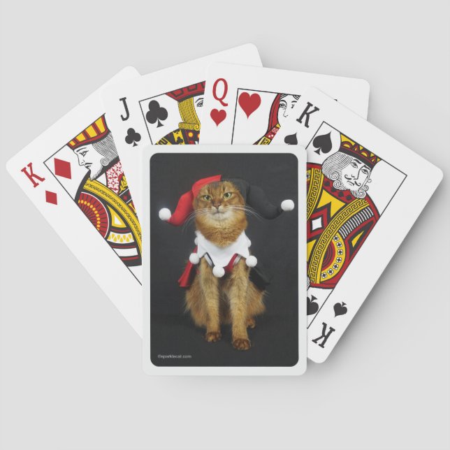 Jeu De Cartes Cartes de jeu somaliennes de chat de joker (dos)