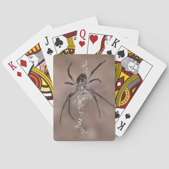 Jeu De Cartes Cartes de jeu Spider (dos)