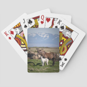 Jeu De Cartes Cartes de jeu uniques de l'amoureux du cheval