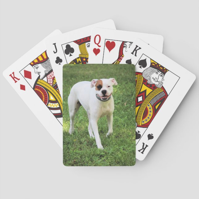 Jeu De Cartes Cartes de lecture Boxer (dos)