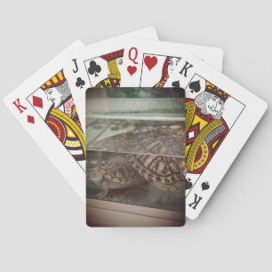 Jeu De Cartes Cartes de lecture Brown vintages