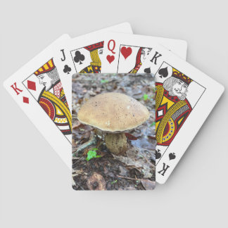 Jeu De Cartes Cartes de lecture de champignons