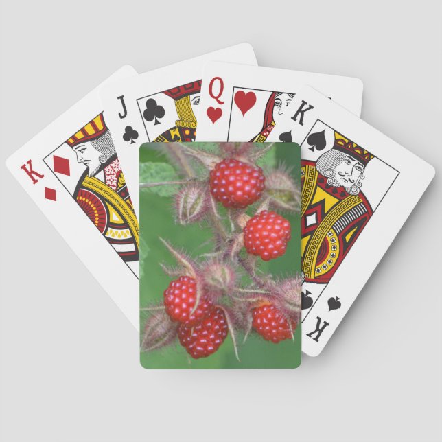 Jeu De Cartes Cartes de lecture de framboise (dos)