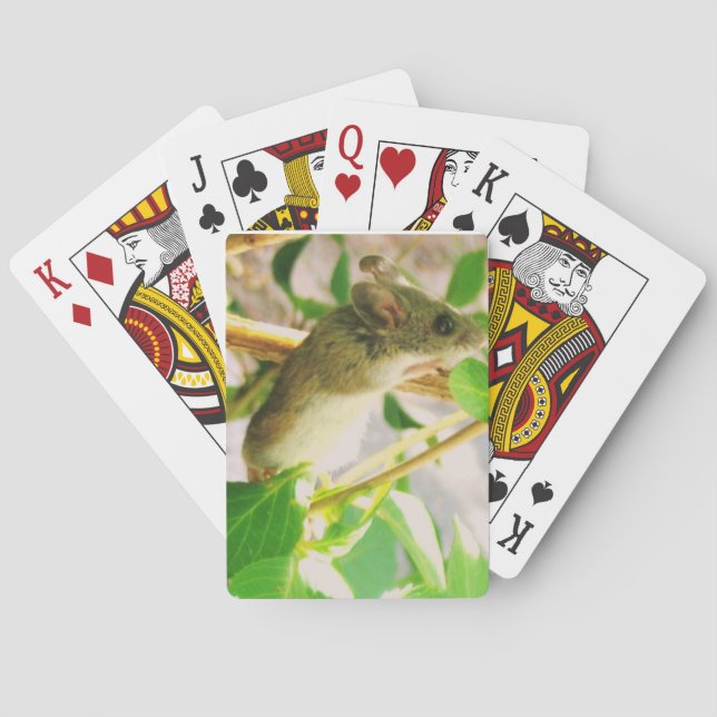 Jeu De Cartes Cartes de lecture de souris (dos)