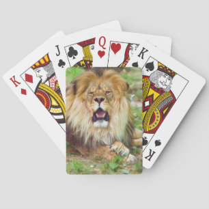 Jeu De Cartes Cartes de lecture du lion rugissant