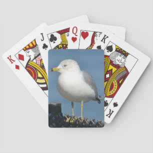 Jeu De Cartes Cartes de lecture Seagull