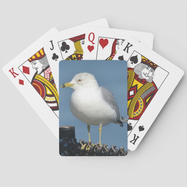 Jeu De Cartes Cartes de lecture Seagull (dos)