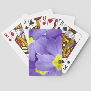 Jeu De Cartes Cartes de lecture Spring Sprung