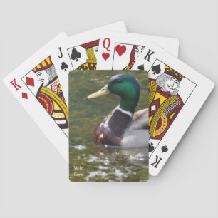 Jeu De Cartes Cartes de lecture Wild Card