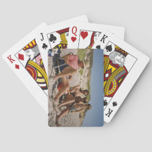 Jeu De Cartes Cartes de RWH Cribbage sur la plage