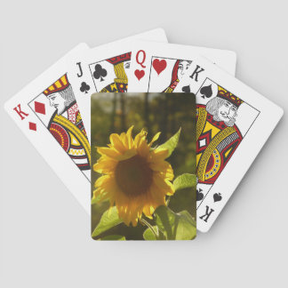 Jeu De Cartes Cartes de tournesol
