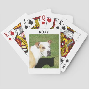 Jeu De Cartes Cartes personnalisées avec photo de chien de compa