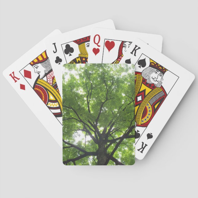 Jeu De Cartes Cartes Sunshine Canopy (dos)