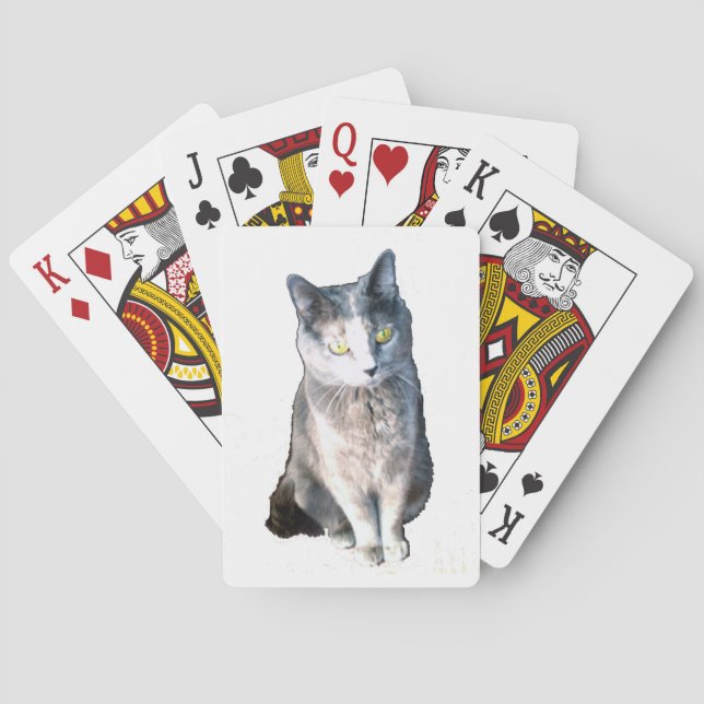 Jeu De Cartes Cat 11 Cartes de lecture (dos)