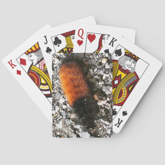 Jeu De Cartes Caterpillar d'ours laineux (dos)