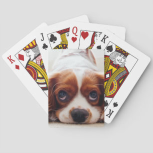 Jeu De Cartes Cavalier Charles Spaniel