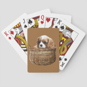 Jeu De Cartes Cavalier King Charles Spaniel
