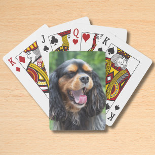 Jeu De Cartes Cavalier King Charles Spaniel bâillant