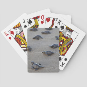 Jeu De Cartes Central America, El Salvador, Pacific Ocean