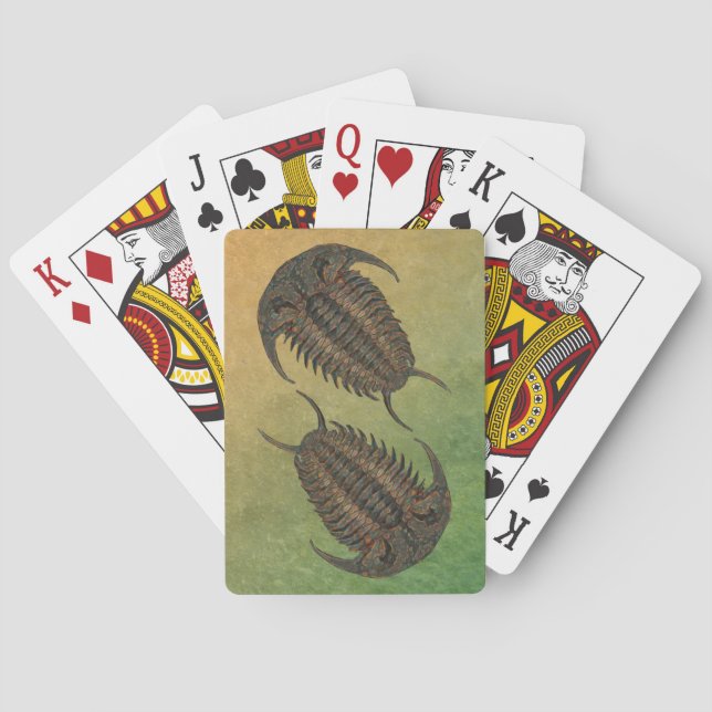 Jeu De Cartes Ceraurus Fossil Trilobite (dos)