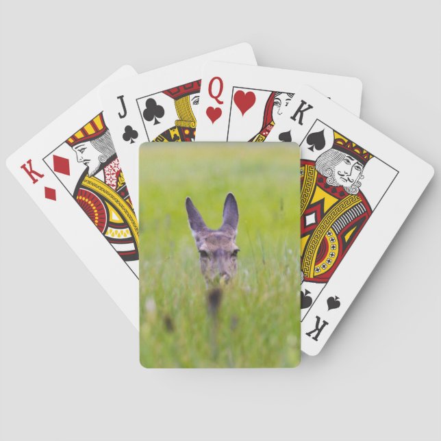 Jeu De Cartes cerf (dos)