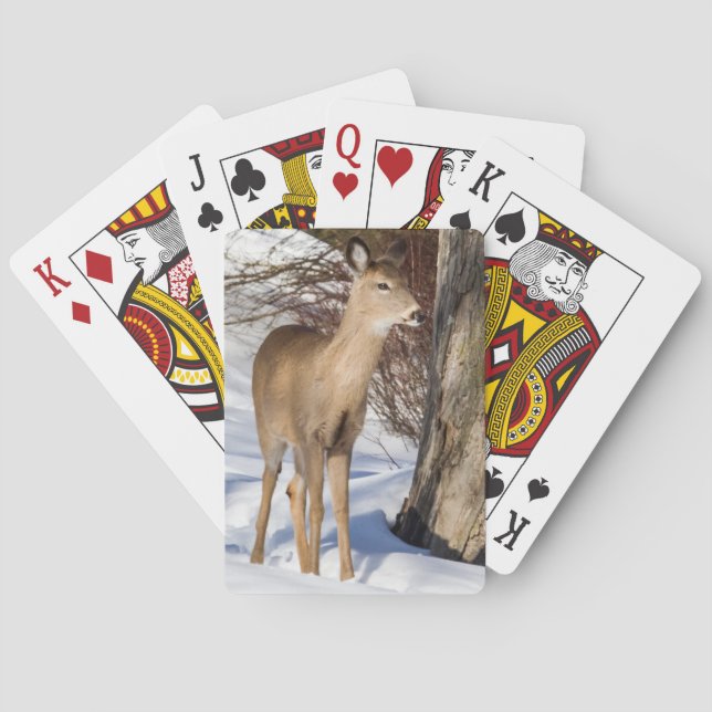 Jeu De Cartes Cerf à queue blanche (gros plan) (dos)