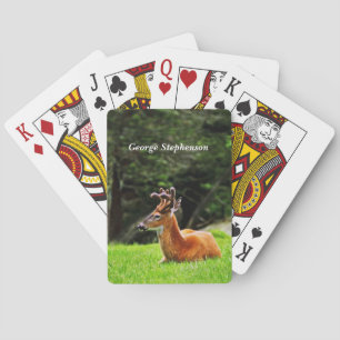Jeu De Cartes Cerf Buck dans un pâturage boisé Personnaliser