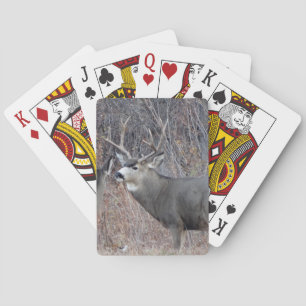Jeu De Cartes Cerf mulet mâle D29