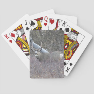 Jeu De Cartes Cerf mulet mâle D32