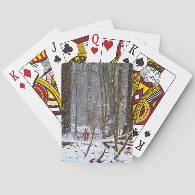 Jeu De Cartes cerfs communs de queue blanche dans la neige (dos)
