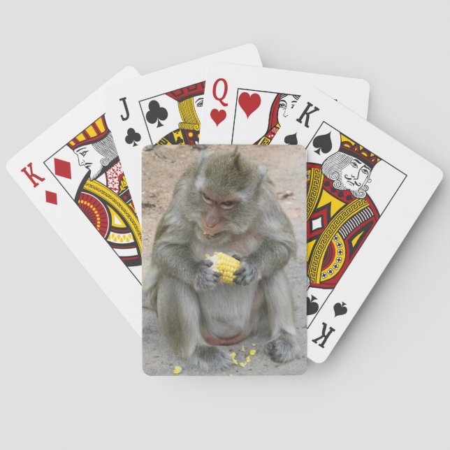 Jeu De Cartes C'est à moi ! ! ... Singe Macaque thaïlandais sauv (dos)