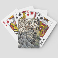C'est un mouton en bas qui joue aux cartes