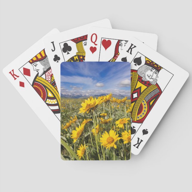 Jeu De Cartes Chaîne frontale des montagnes Rocheuses (dos)