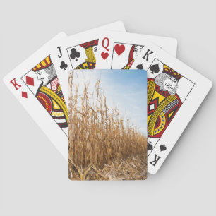Jeu De Cartes Champ de maïs en partie moissonné