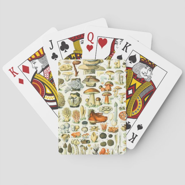 Jeu De Cartes Champignon d'Adolphe Millot (dos)