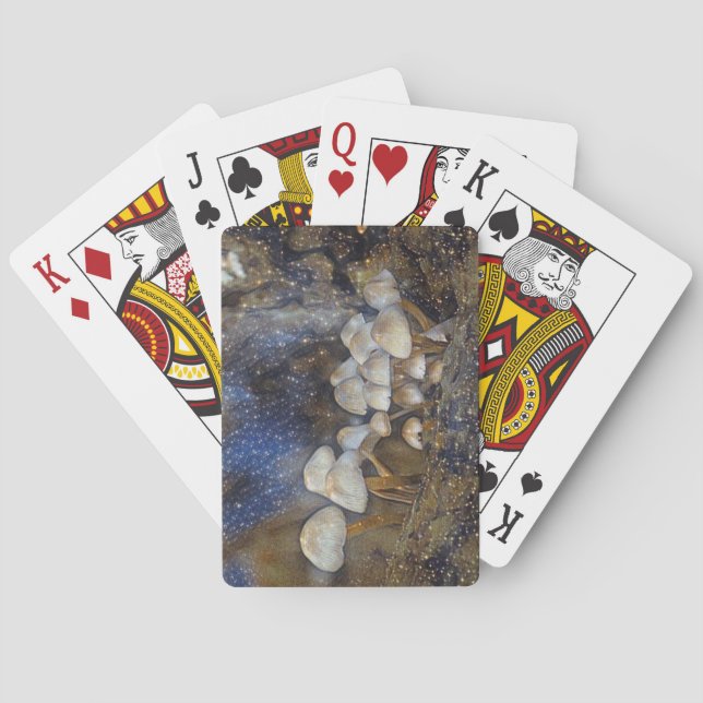 Jeu De Cartes Champignons magiques (dos)