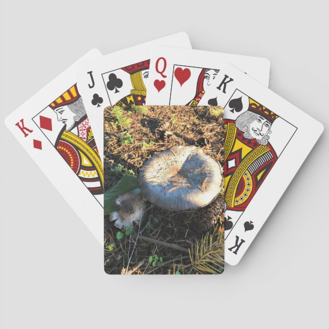 Jeu De Cartes Champignons, Oregon (dos)
