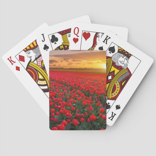 Jeu De Cartes Champs de tulipe au coucher du soleil dans (dos)