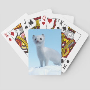 Jeu De Cartes Charme de la belette arctique