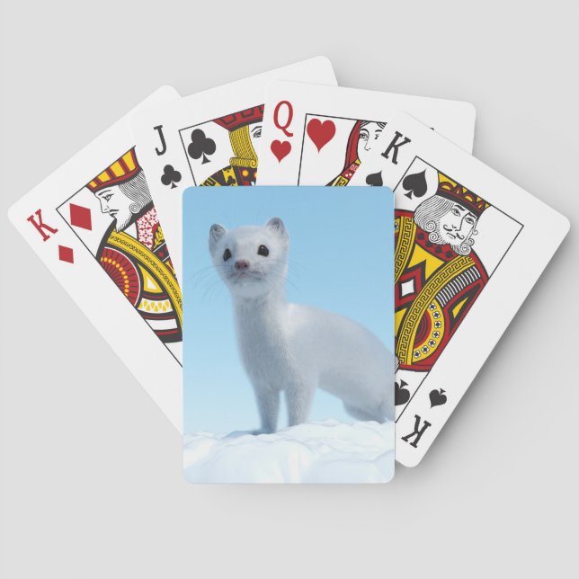 Jeu De Cartes Charme de la belette arctique (dos)