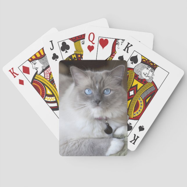 Jeu De Cartes Chat à poupée femelle (dos)