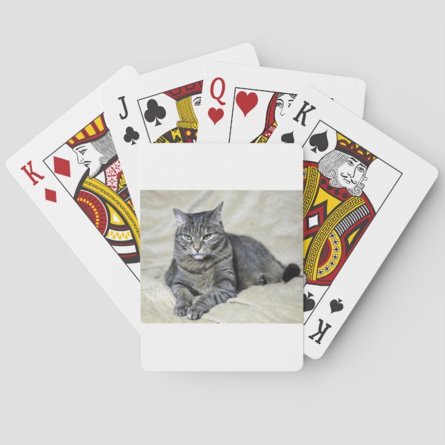 Jeu De Cartes Chat Beau Posé (dos)