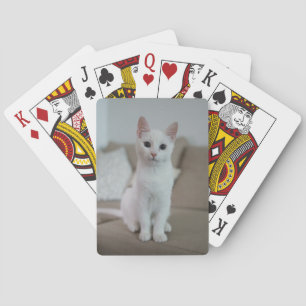 Jeu De Cartes chat blanc   Zazzle_Growshop.
