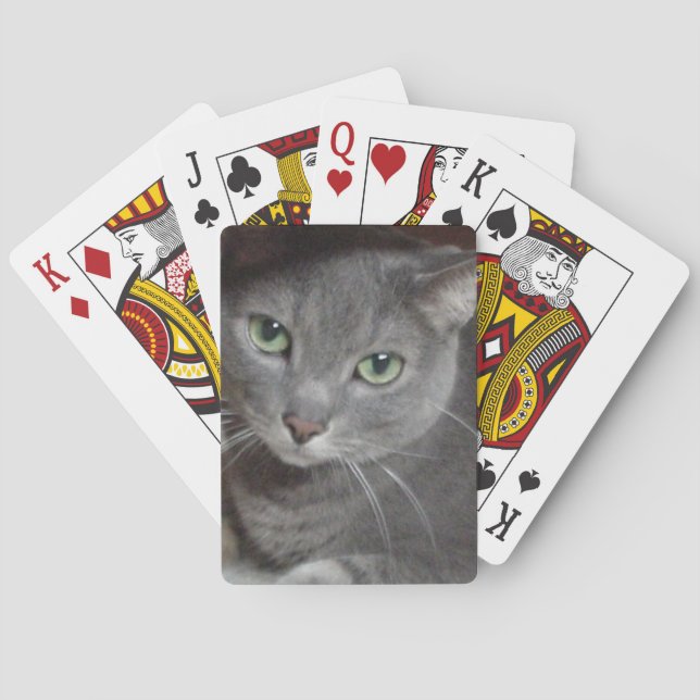 Jeu De Cartes Chat bleu russe (dos)