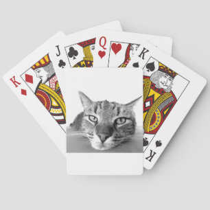 Jeu De Cartes Chat couché
