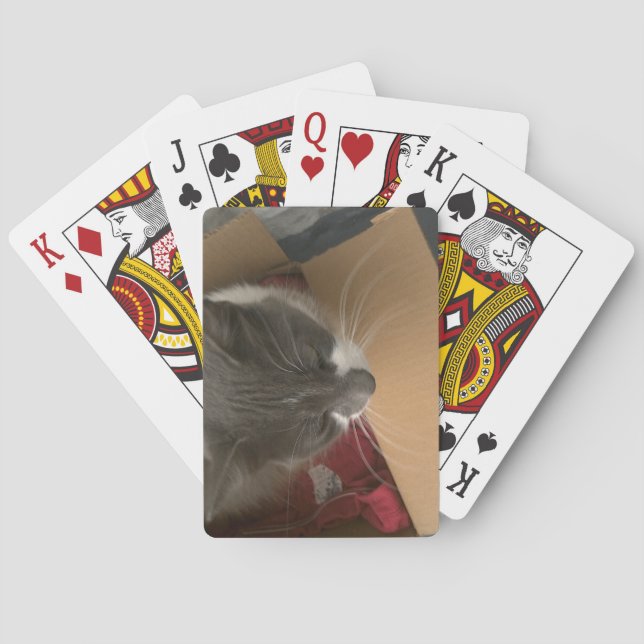 Jeu De Cartes Chat dans la boîte (dos)