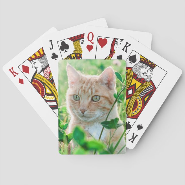 Jeu De Cartes Chat de gingembre avec yeux verts en herbe (dos)