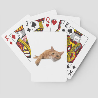 Jeu De Cartes Chat Orange Posé En Bas